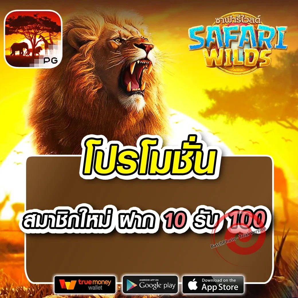 สล็อต ceo88bet